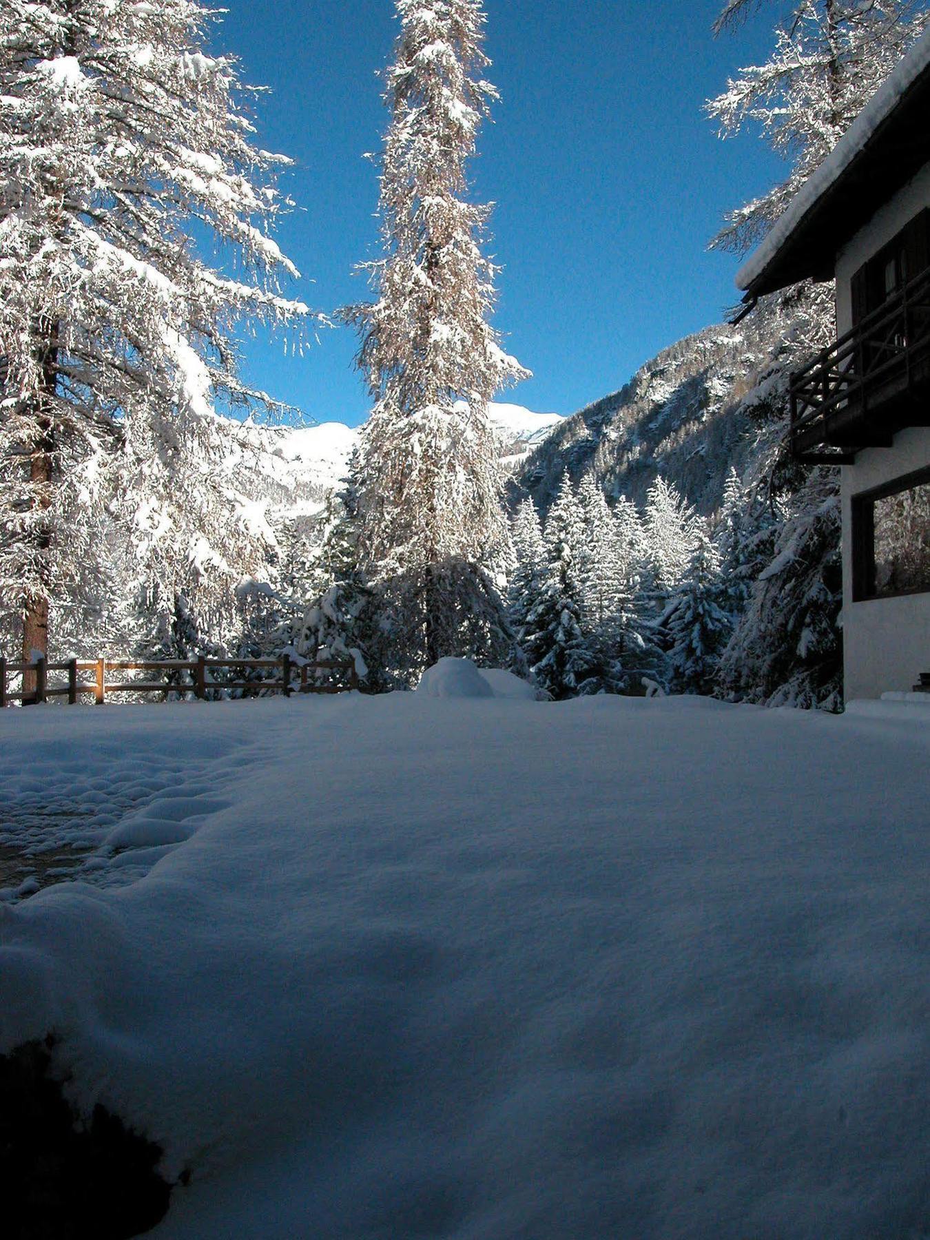 Albergo Villa Anna Maria Champoluc Esterno foto